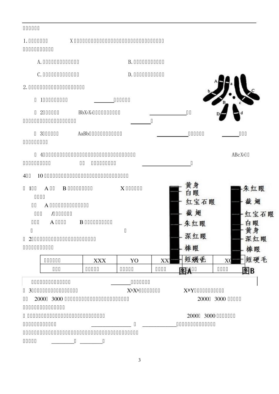 果蝇专题复习(学生版)_第3页
