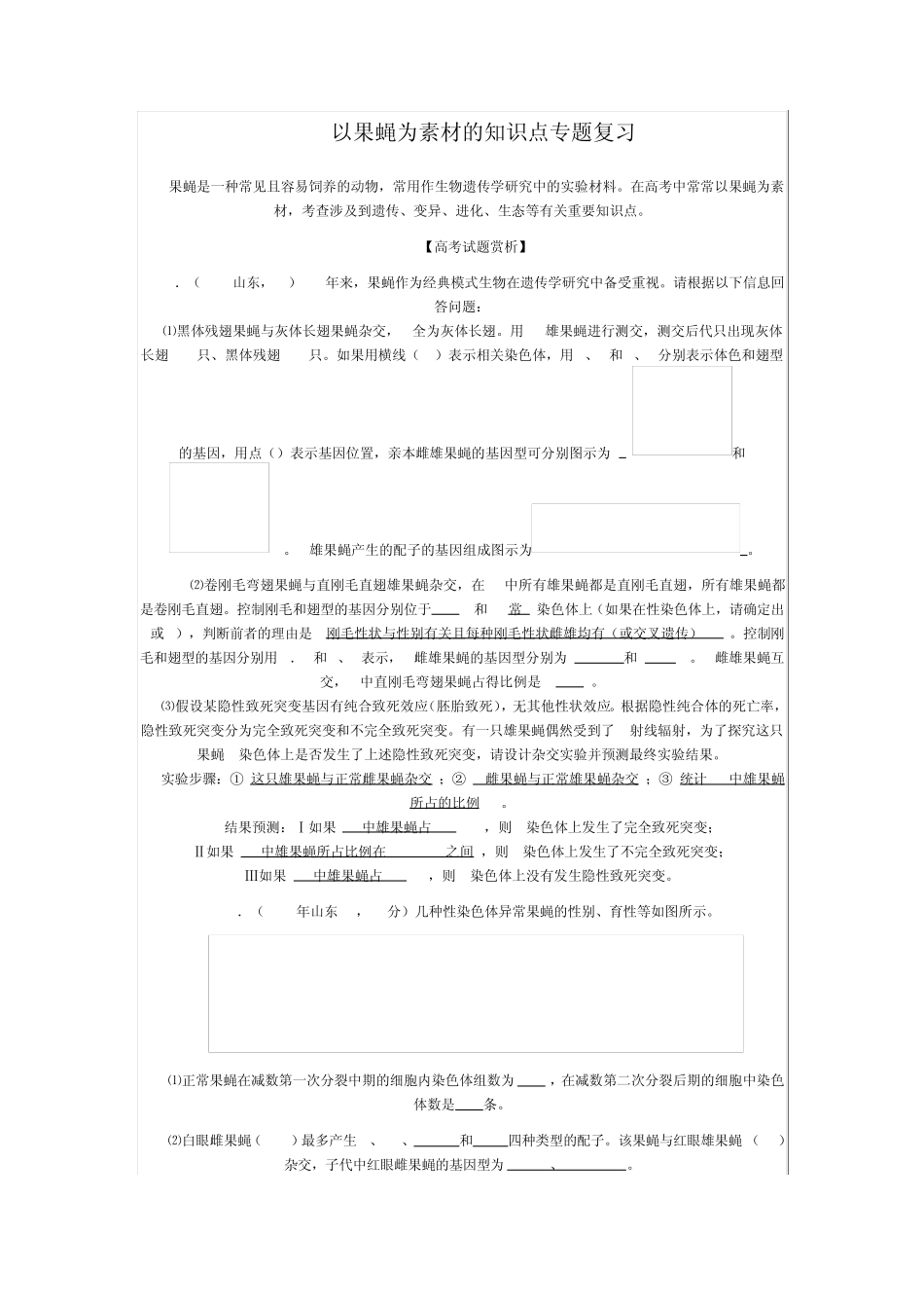 果蝇知识点专题复习_第1页