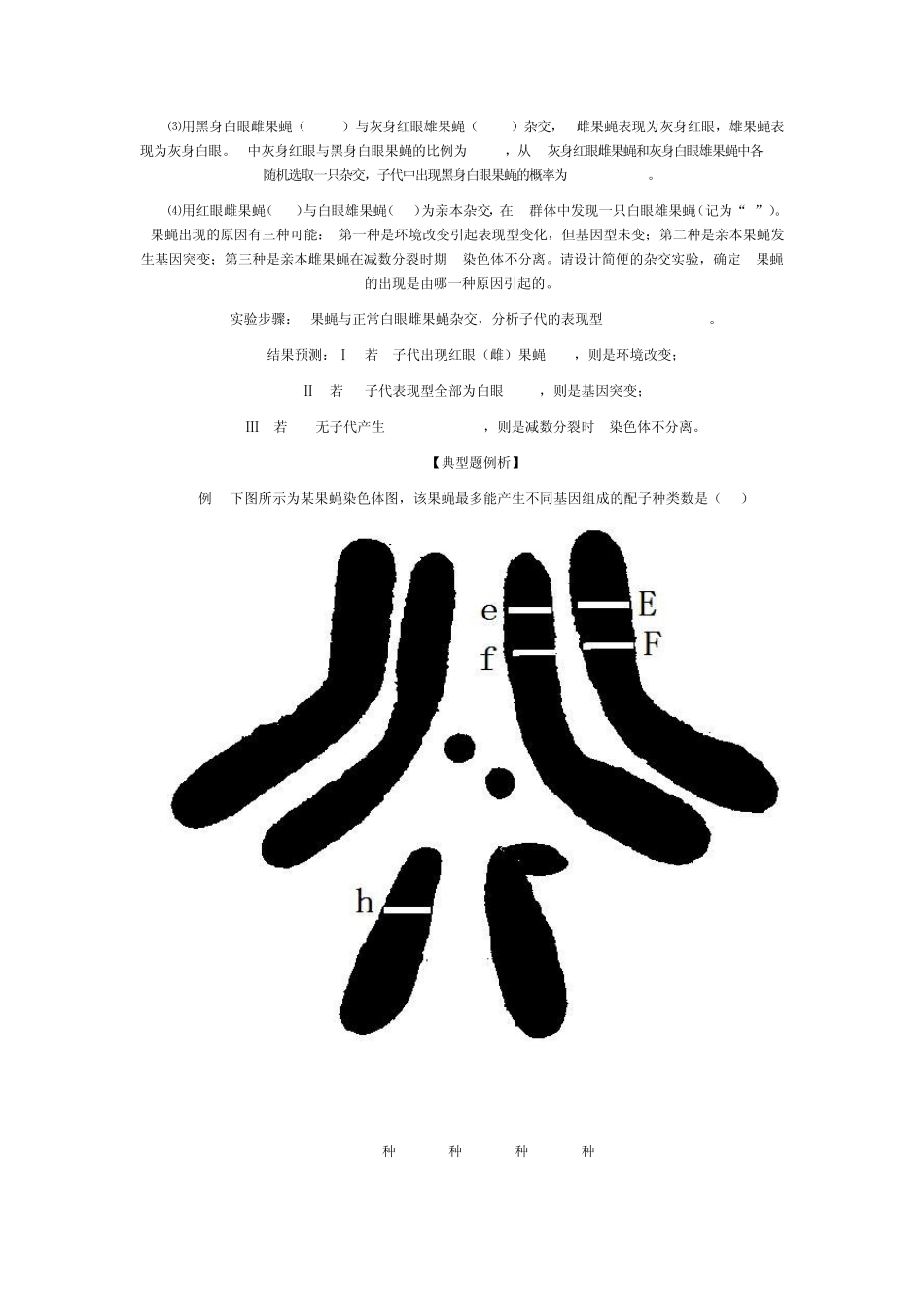 果蝇知识点专题复习_第2页