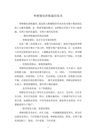 枣树矮化密植栽培技术