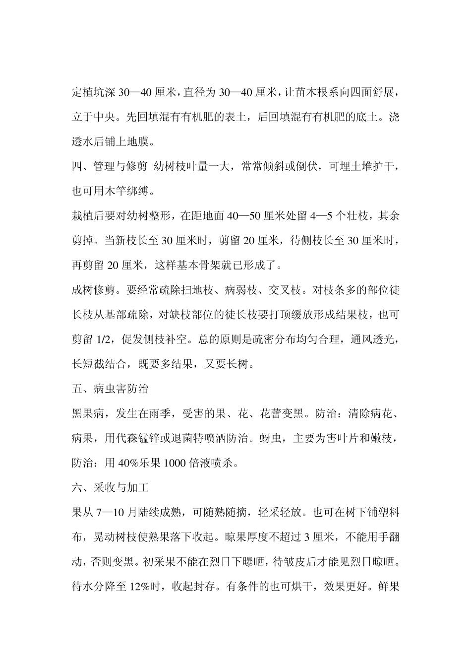 枸杞栽培技术_第2页