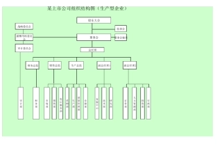 某上市公司组织结构图(生产型企业)