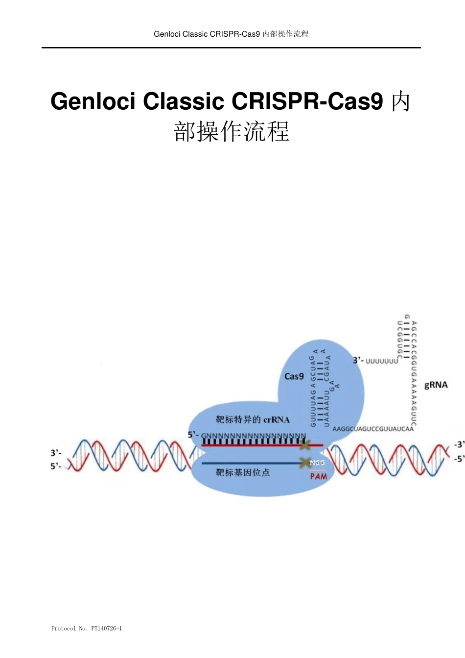 某公司内部的CRISPRCas9操作流程_第1页