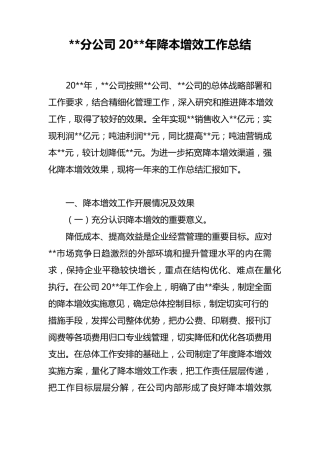 某某分公司年度降本增效工作总结