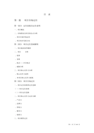 某某项目定位及产品设计建议