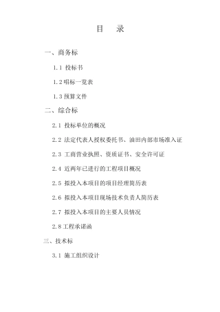 某水沟改造投标书