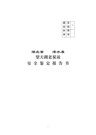 某泵站安全鉴定报告书