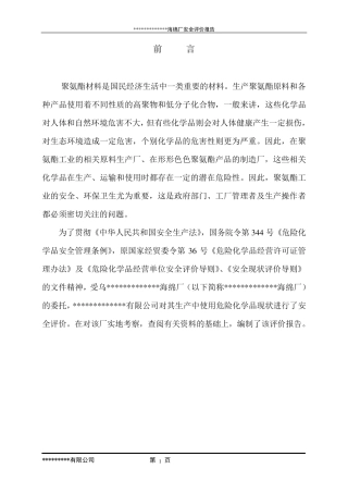 某海绵厂安全评价报告