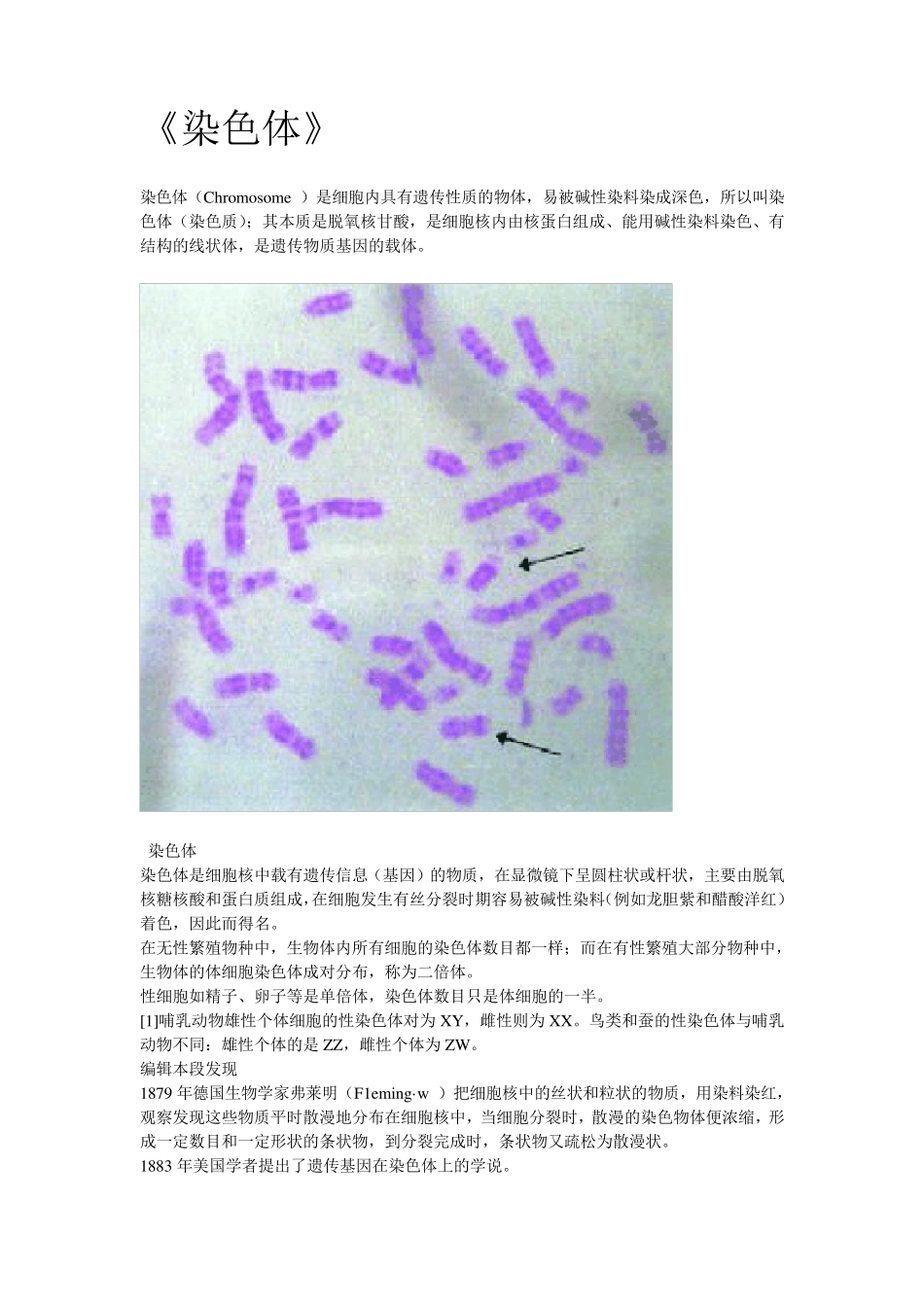 染色体基础知识_第1页