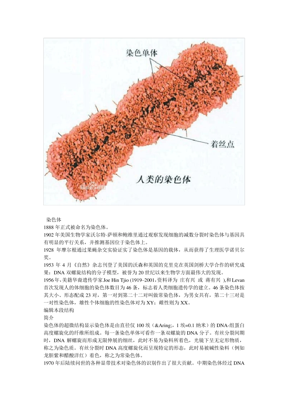 染色体基础知识_第2页