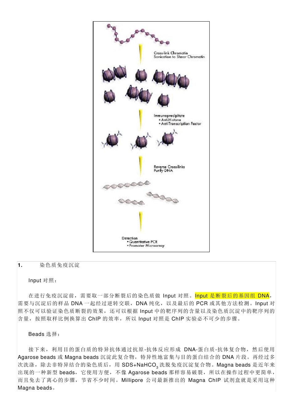 染色质免疫沉淀(ChIP)技术的难点及应用_第3页
