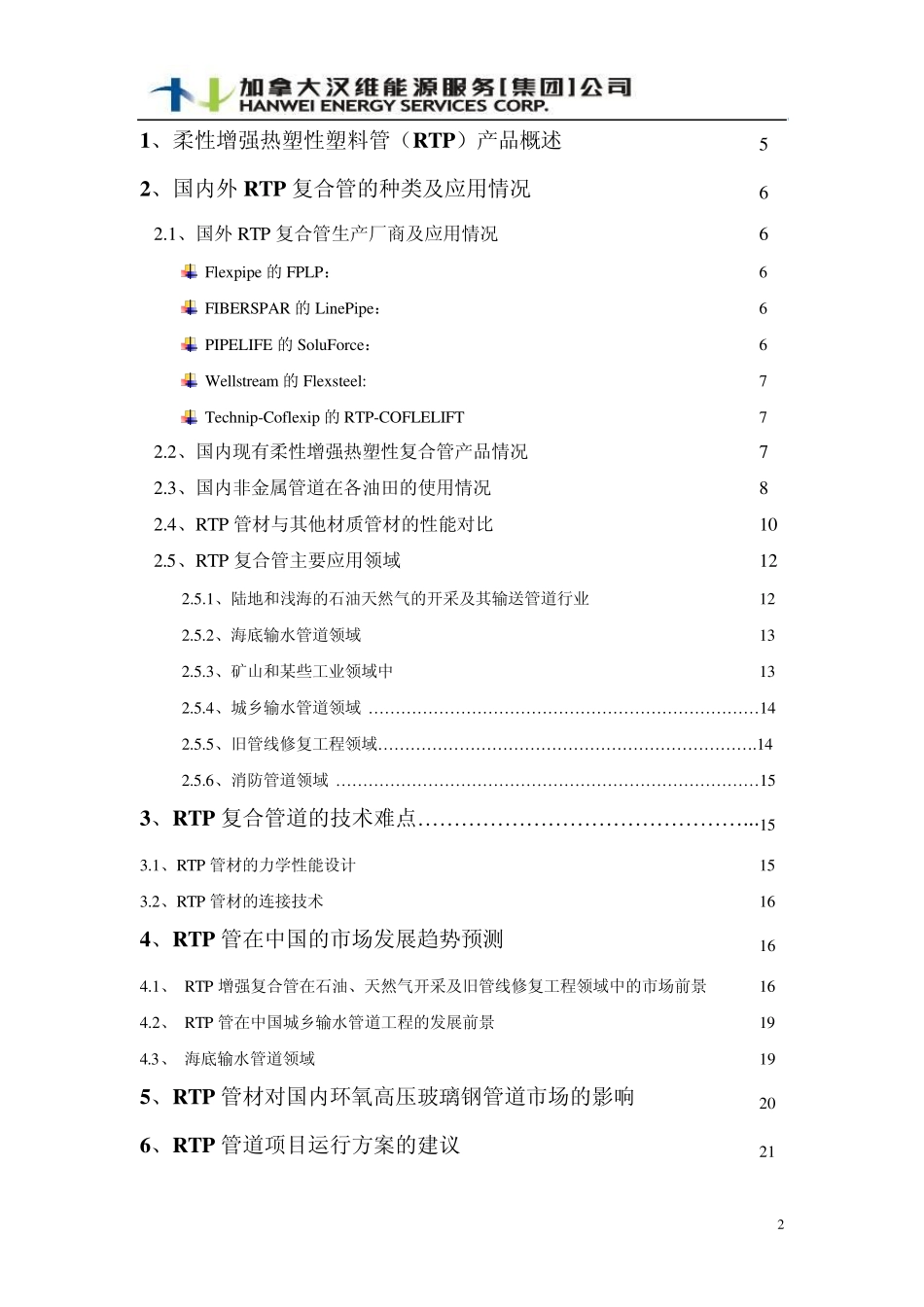 柔性增强热塑性塑料管(RTP)项目可行性分析报告_第2页