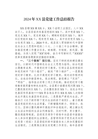 2024年XX县党建工作总结报告