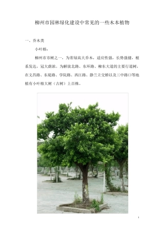 柳州市园林绿化最常用部分植物
