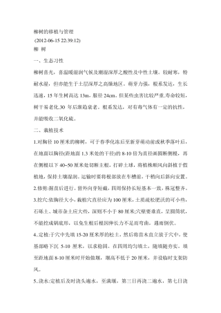 柳树的移植与管理