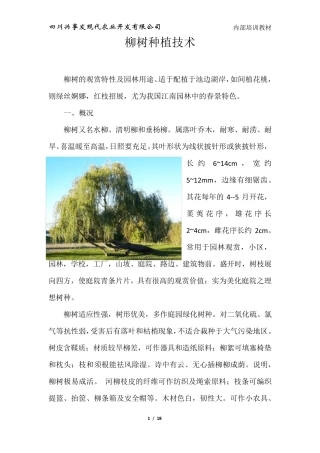 柳树种植技术