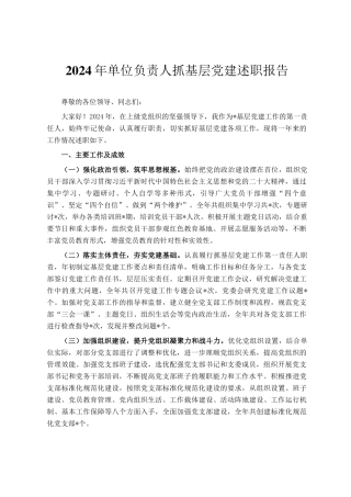 2024年单位负责人抓基层党建述职报告
