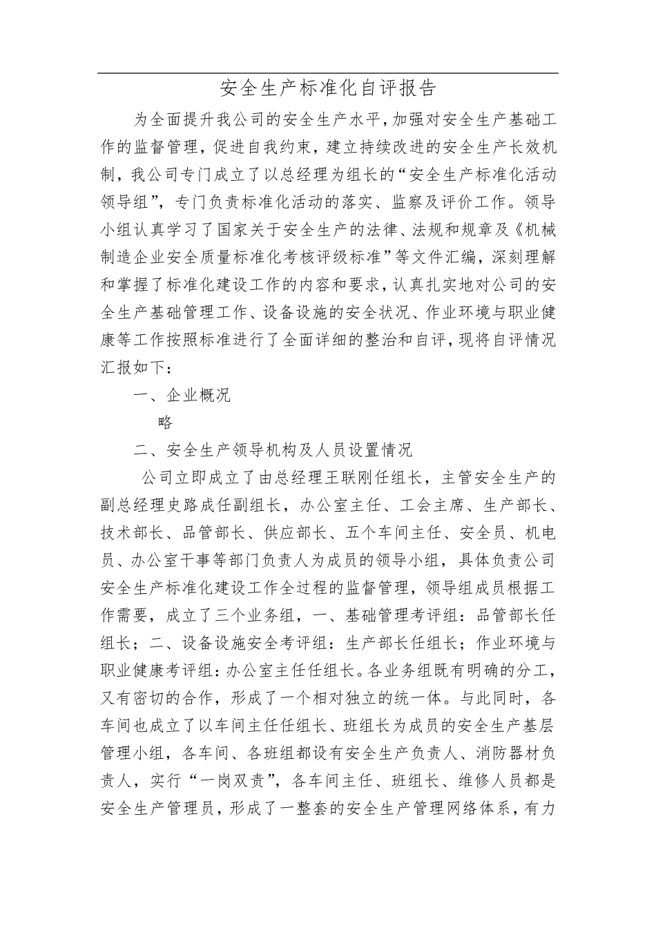 标准化自评报告范本_第1页