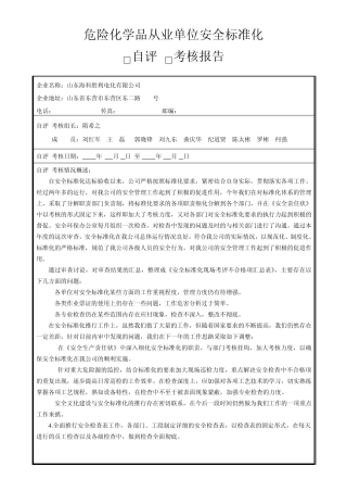 标准化自评考评表