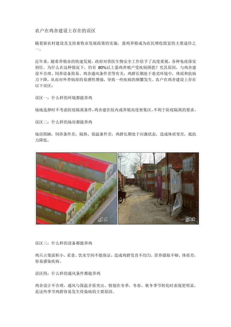 标准化鸡舍建设_第1页