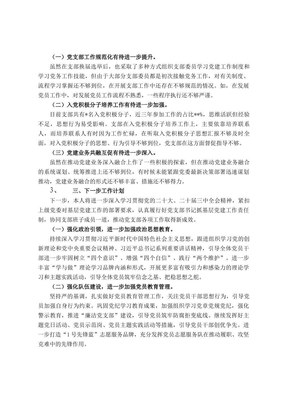 2024年党支部书记抓基层党建述职报告_第3页