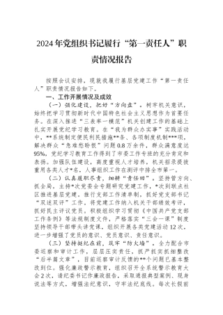 2024年党组织书记履行“第一责任人”职责情况报告