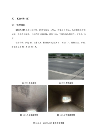 标准桥梁检测报告