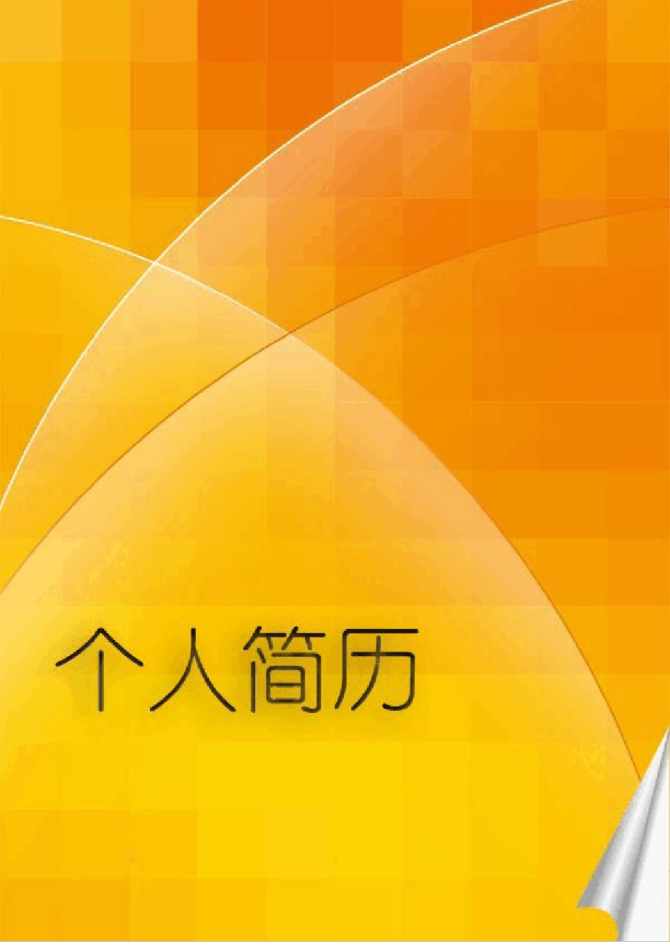 标准的个人简历表格(最新电子版,直接填写)_第3页