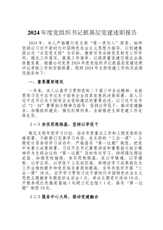 2024年度党组织书记抓基层党建述职报告