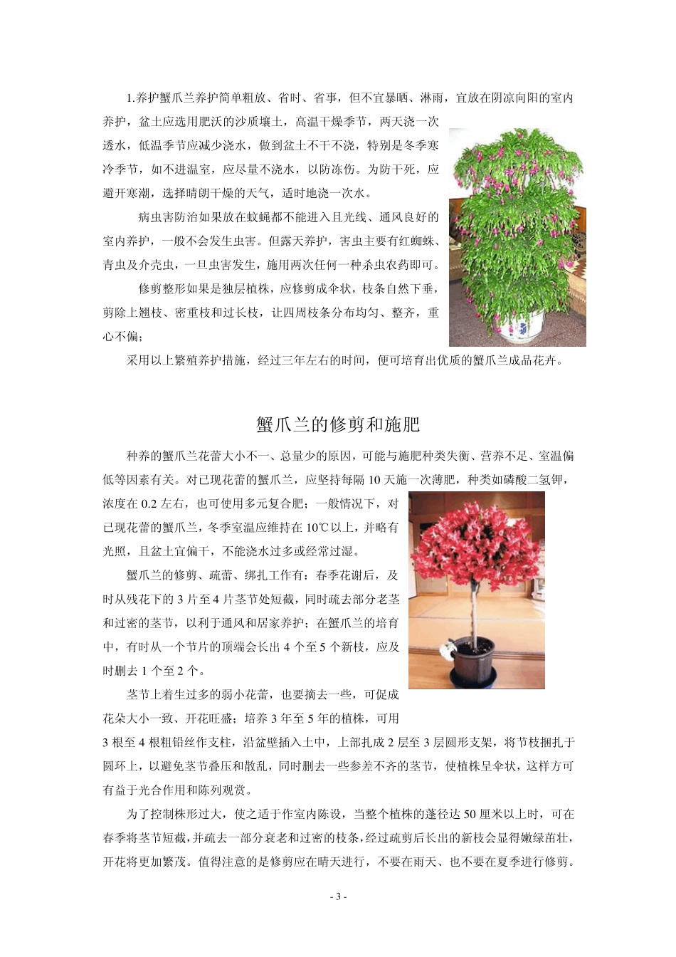 树形蟹爪兰的嫁接与养护_第3页