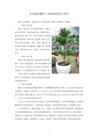 树形蟹爪兰的嫁接与养护