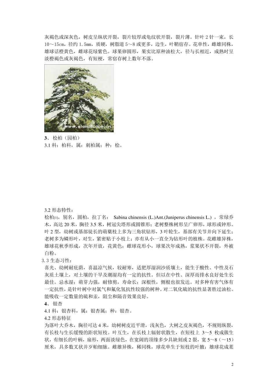 树木名称及特征_第2页