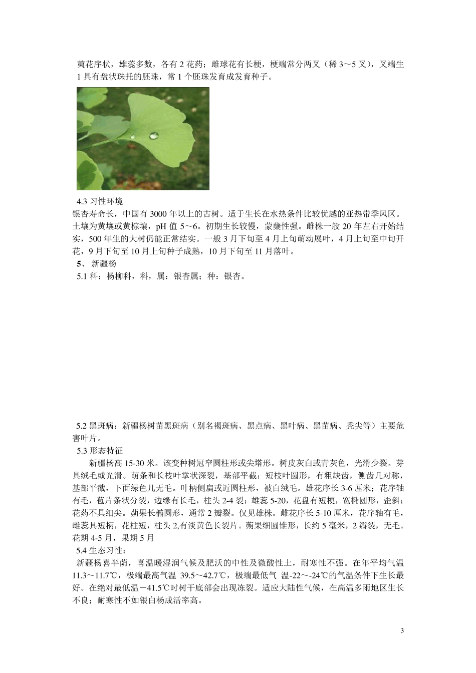 树木名称及特征_第3页