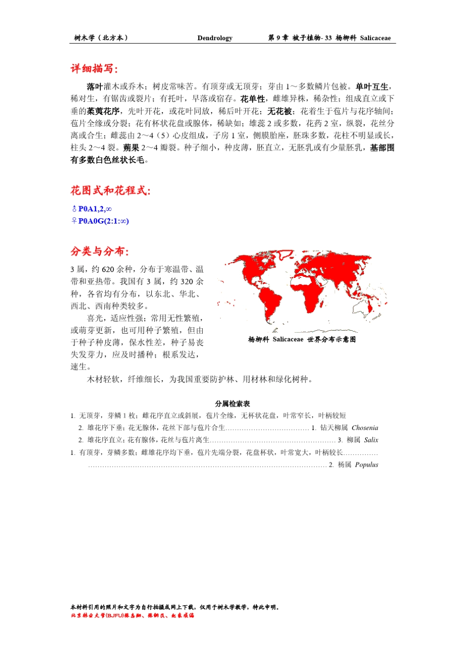 树木学杨柳科_第3页