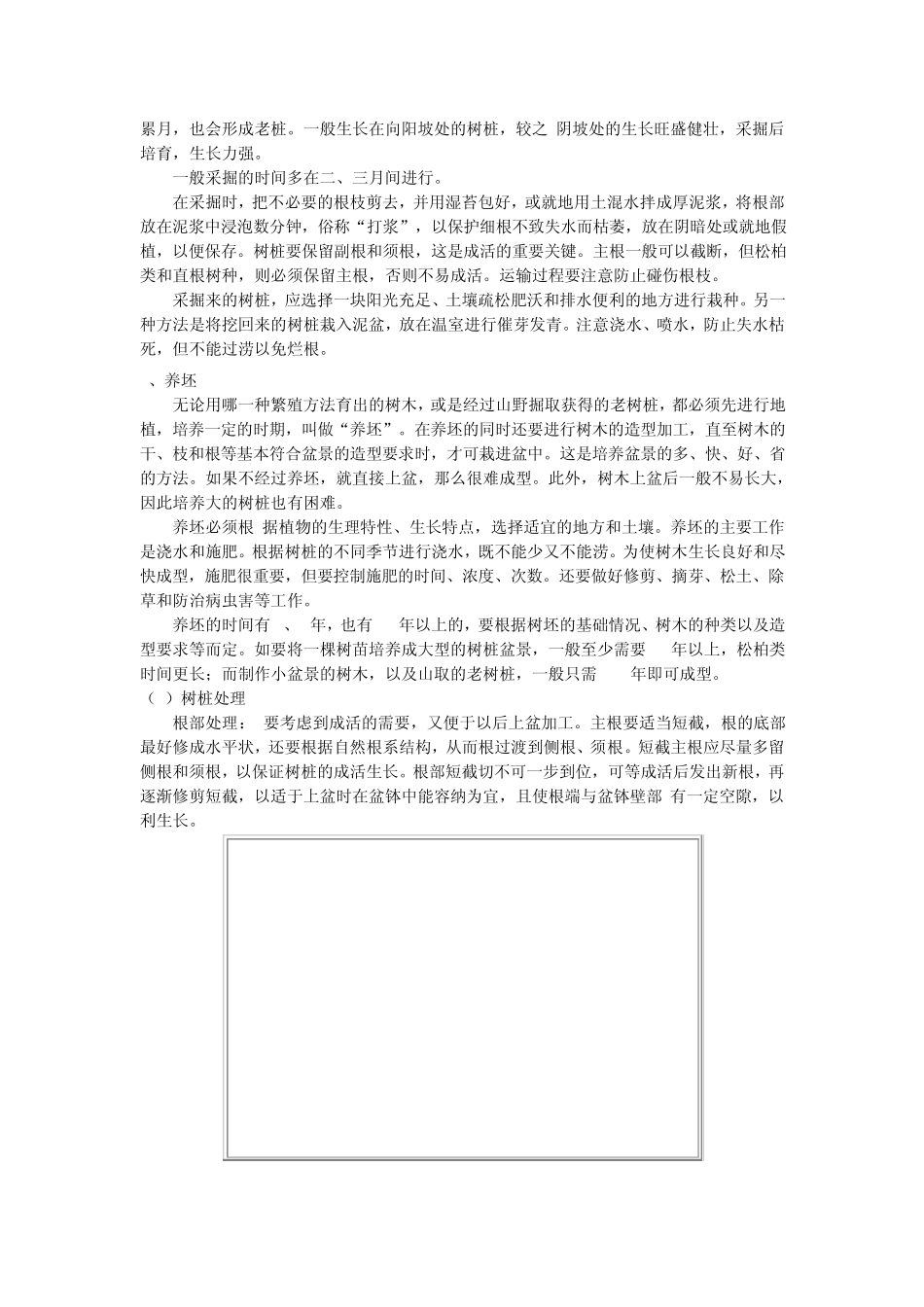 树桩盆景的栽培和管理_第2页