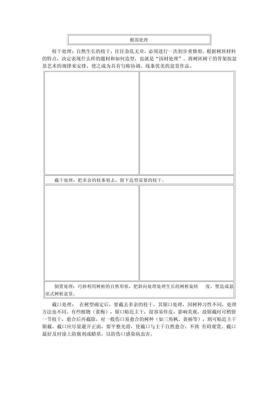 树桩盆景的栽培和管理_第3页