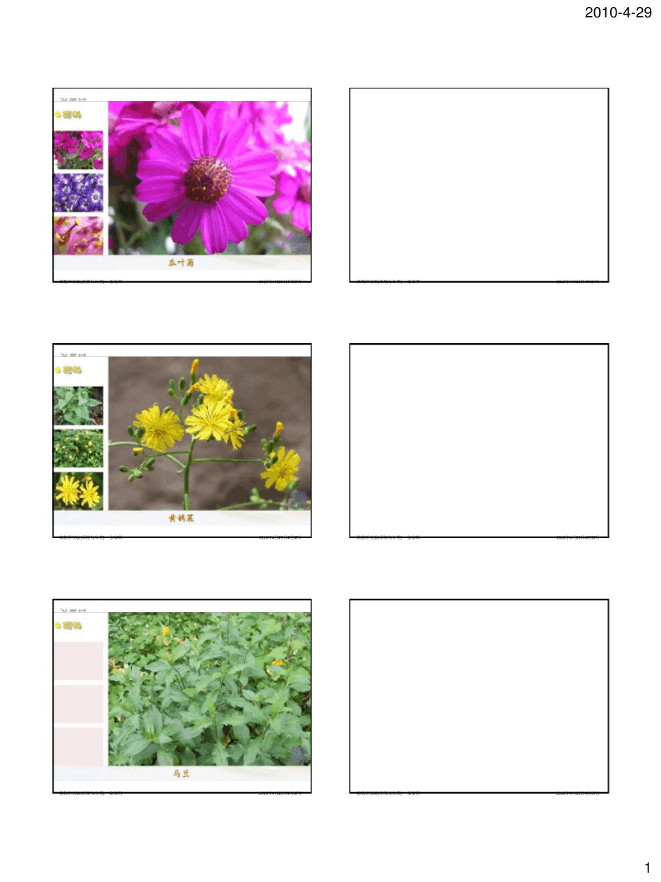 校园常见植物图鉴_第1页