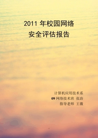 校园网络安全评估报告