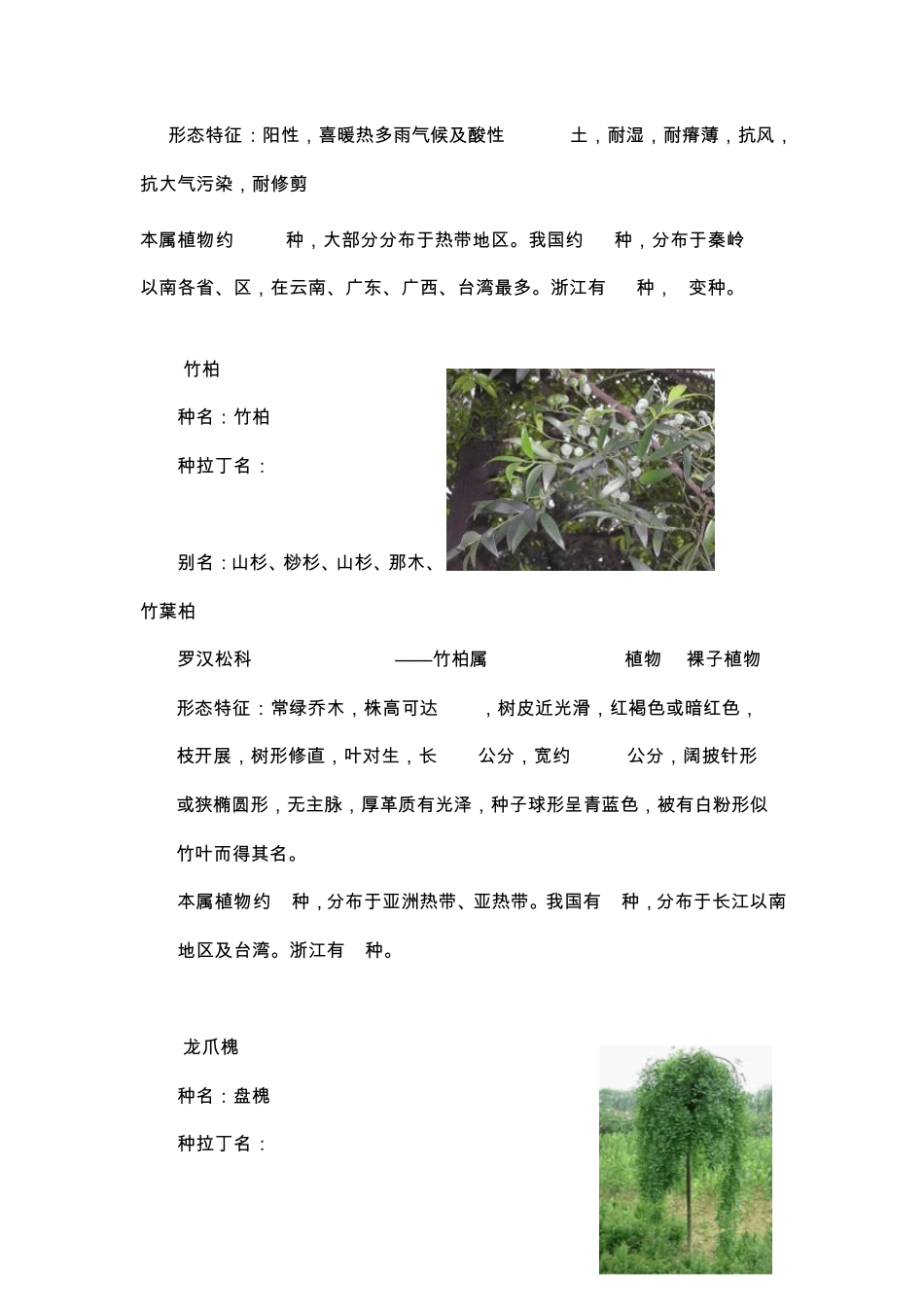 校园观赏植物介绍_第2页