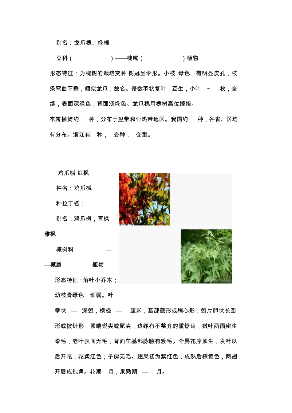 校园观赏植物介绍_第3页