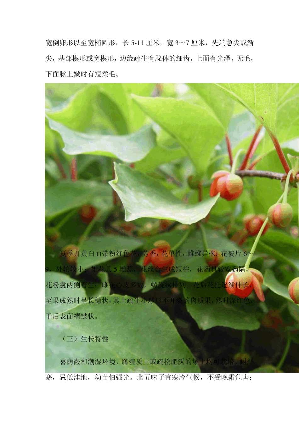 校本课绿证选用教材_第2页