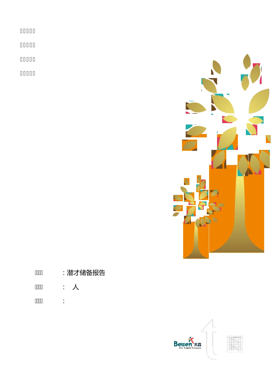 样本报告管理人员潜才储备测评解决方案报告(团队版)_第1页