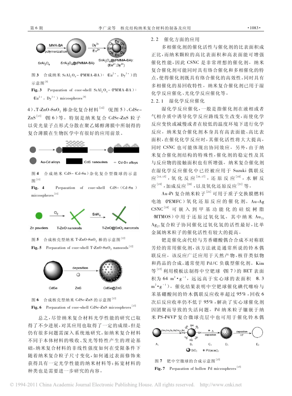 核壳结构纳米复合材料的制备及应用_第3页