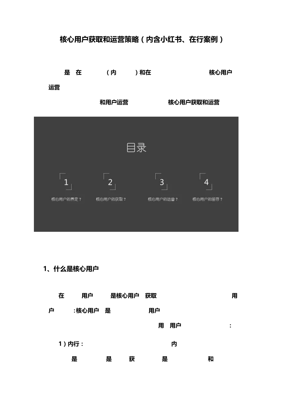 核心用户获取和运营策略(内含小红书、在行案例)_第1页