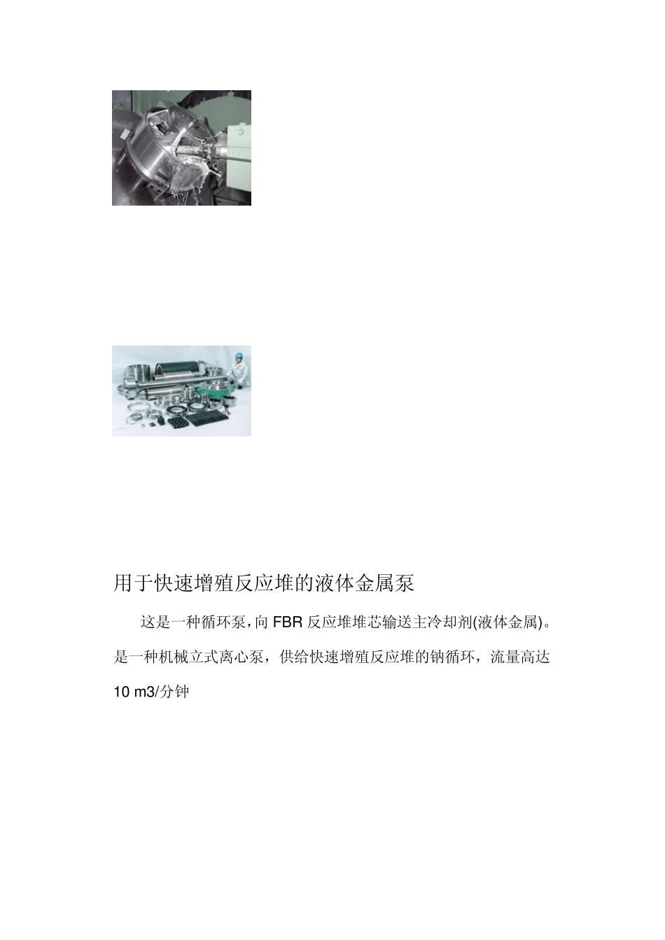 核泵种类大全兼图片_第2页