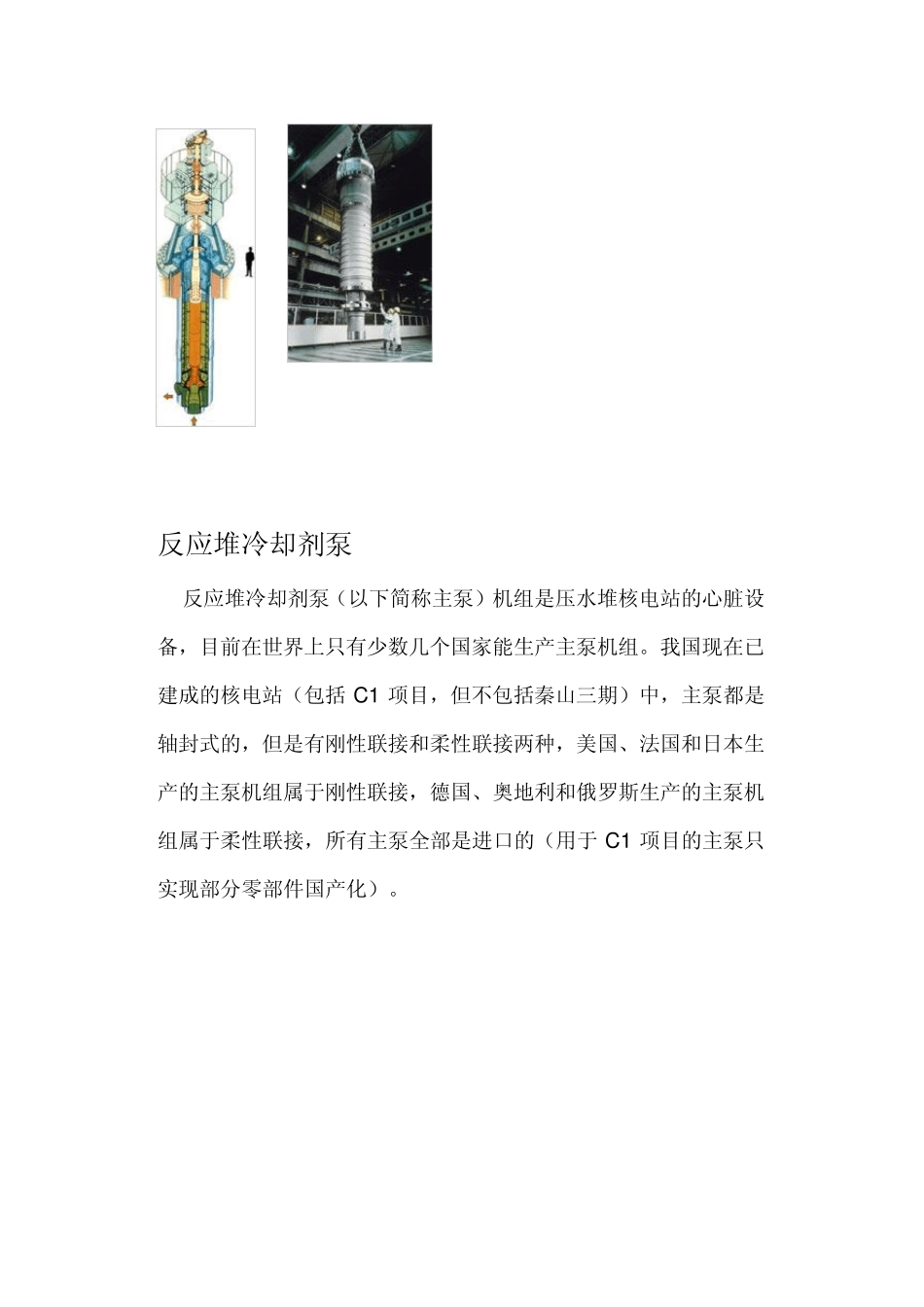 核泵种类大全兼图片_第3页