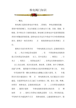 核电阀门知识