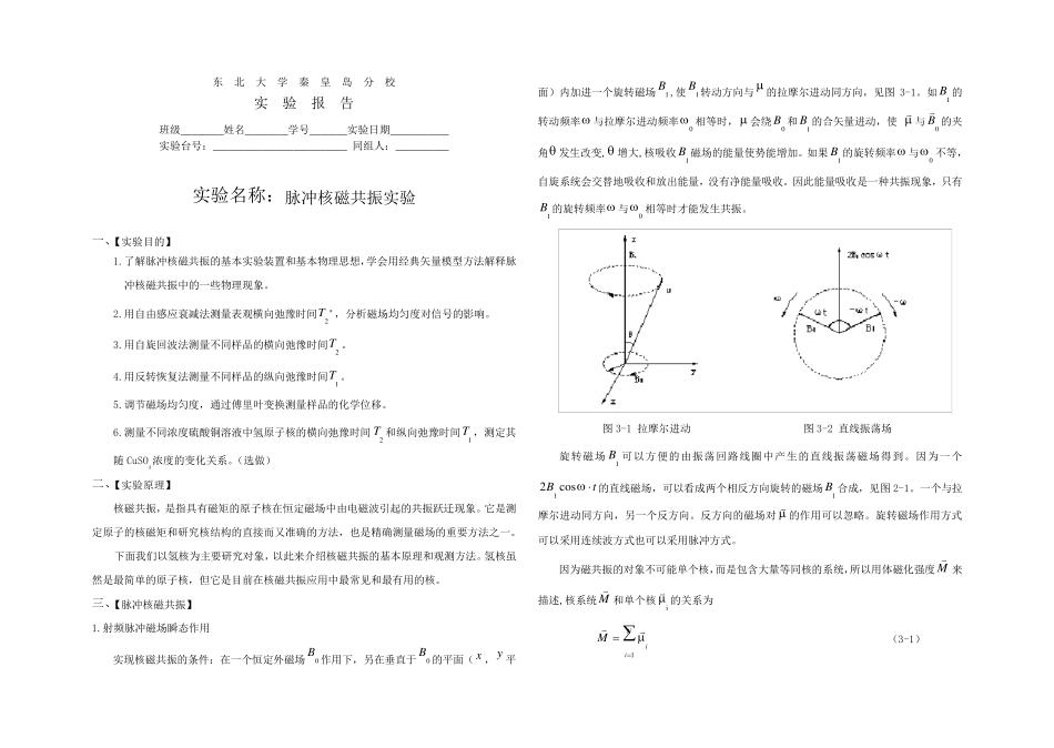 核磁脉冲实验报告_第1页