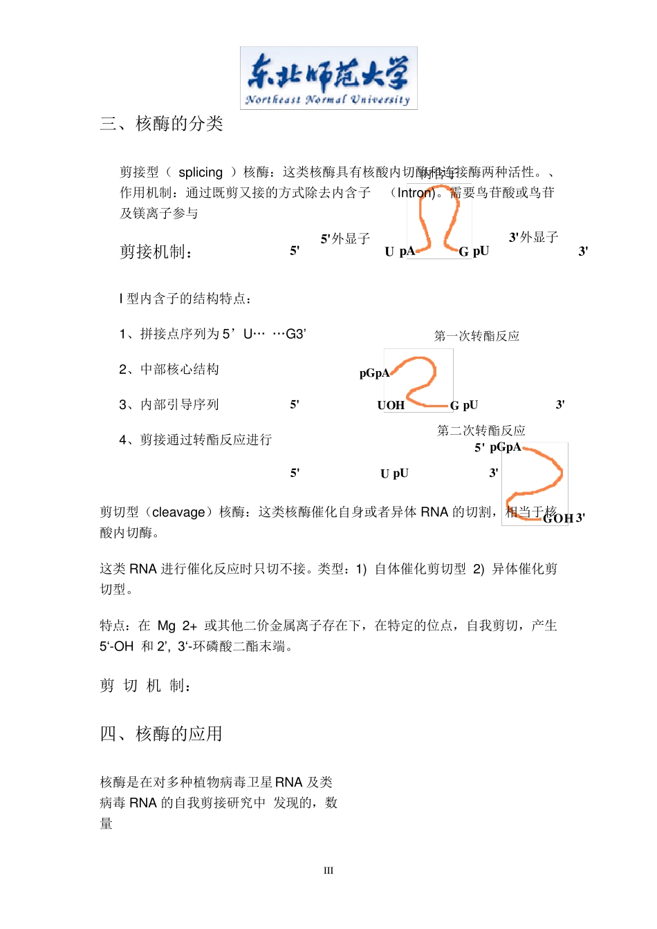 核酶的发现与应用_第3页