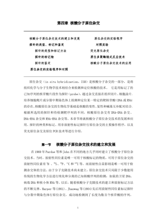 核酸分子原位杂交